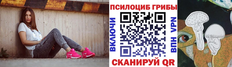 omg вход  Гаврилов-Ям  Псилоцибиновые грибы Magic Shrooms  купить наркотики цена 